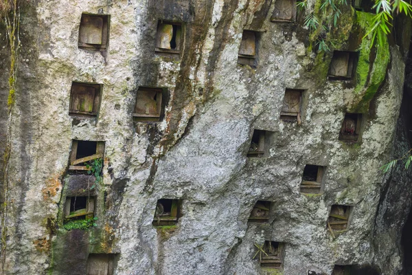タナ ・ トラジャで伝統的な埋葬地 — ストック写真