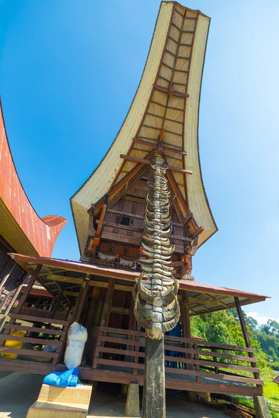 Aldeia de toraja tradicional — Fotografia de Stock