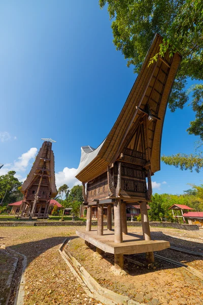 Traditional Toraja village — Stock Photo, Image