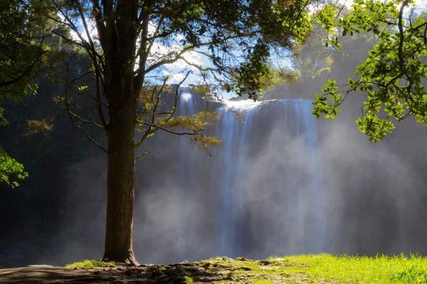 Whangarei-Wasserfall — Stockfoto