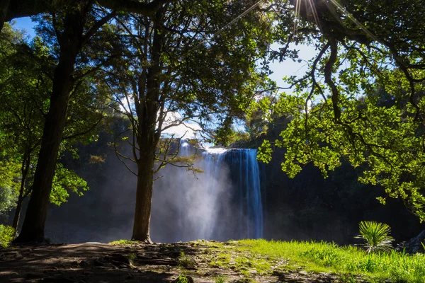 Whangarei-Wasserfall — Stockfoto