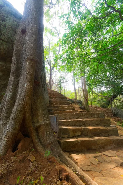 Древняя лестница в Сигирии, Шри-Ланка — стоковое фото