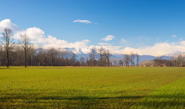 Agriculture around the alpine arc — Stock Photo, Image