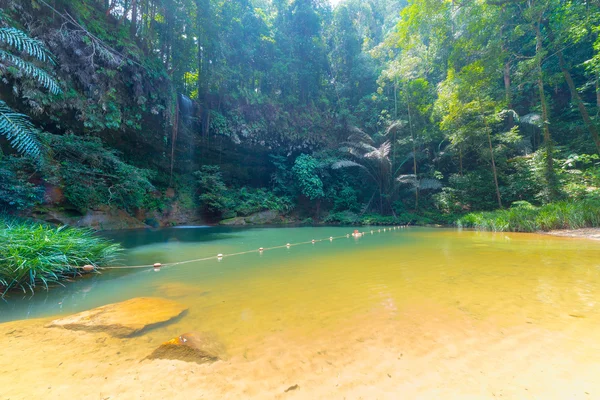 Selva tropical piscina natural y cascada —  Fotos de Stock