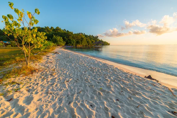 Golden sunrise na bezludnej plaży — Zdjęcie stockowe