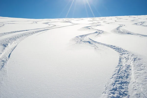 Friåkning i färska snöig backe — Stockfoto