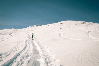 Alp touring, retro görünüm