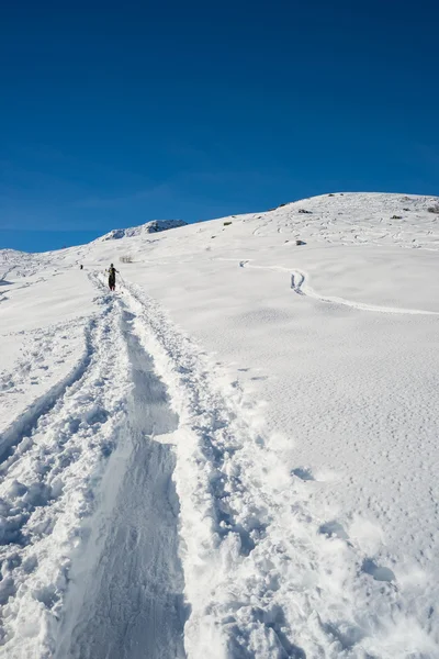 Alpentour in Richtung Gipfel — Stockfoto