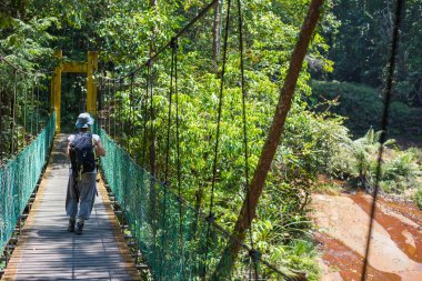 Borneo yağmur ormanlarında trekking