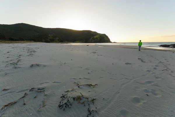 Прогулянка на пляжі на заході сонця — стокове фото