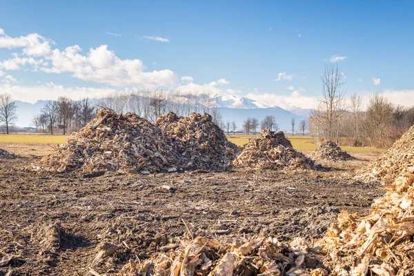 Biomass from lumber industry discards — Stock Photo, Image