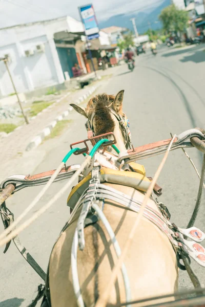 Asian street viewed from horse rickshaw — Stock Photo, Image
