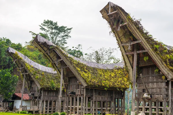 Tradycyjna wioska Tana Toraja, Indonezja — Zdjęcie stockowe