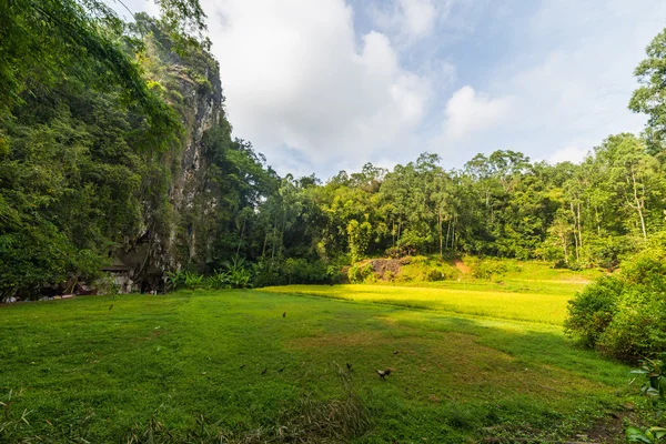 Traditionelle Begräbnisstätte in tana toraja — Stockfoto