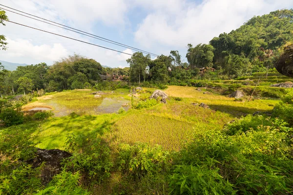 Village Toraja traditionnel dans un paysage idyllique — Photo