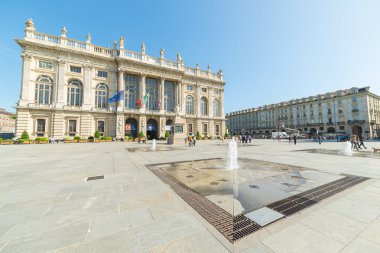 2015 Kutsal Shroud Torino sergide