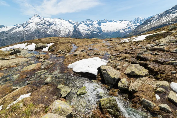 Primavera nelle Alpi italiane — Foto Stock