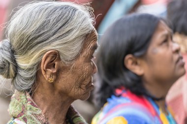 Toraja insanlar, Sulawesi, Endonezya portresi
