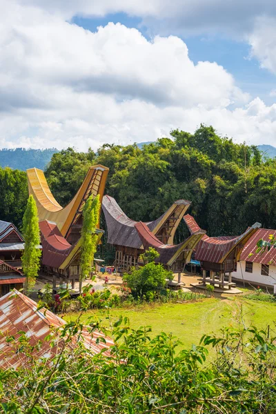 Tradycyjna wioska Toraja w sielankowy krajobraz — Zdjęcie stockowe