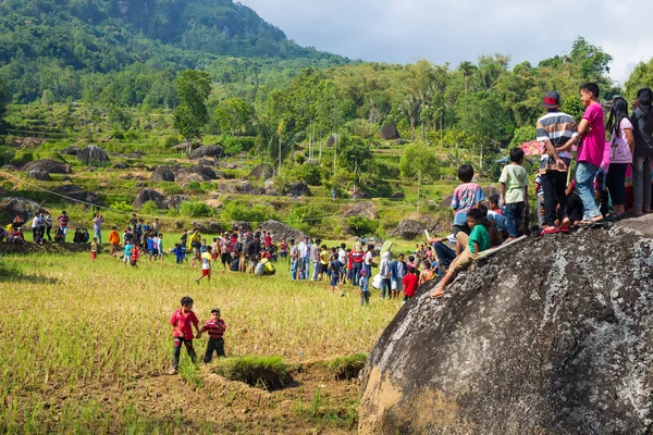 Grupa ludu Toraja na ryżowe pole — Zdjęcie stockowe