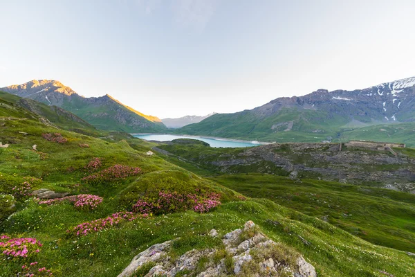 Paesaggio alpino all'alba in alta quota — Foto Stock