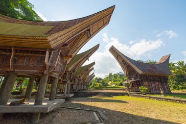 tana toraja geleneksel köy Manzaralı