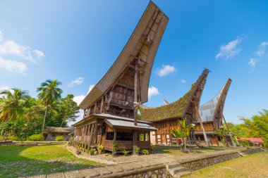 tana toraja geleneksel köy Manzaralı
