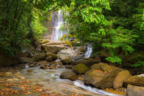 Waterfall and stream in the rainforest of Borneo — Stock Photo, Image