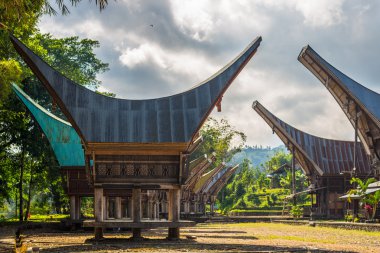 tana toraja geleneksel köy Manzaralı