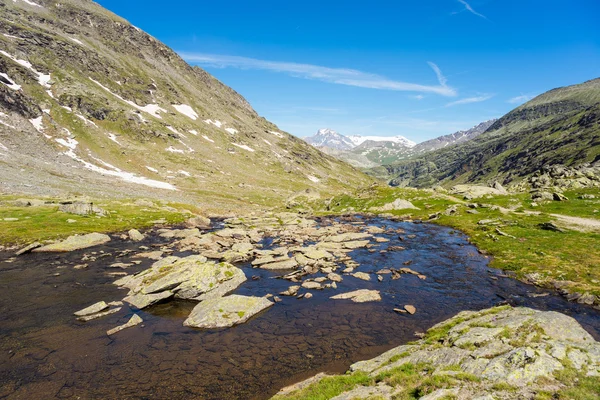 High altitude alpine stream in summertime — ストック写真