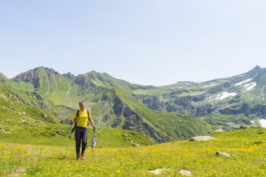 Pastoral ortamında Alpleri'nde hiking