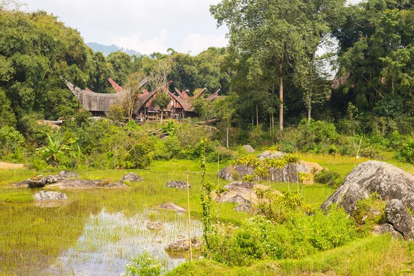 Traditionell Toraja by i idylliskt landskap — Stockfoto