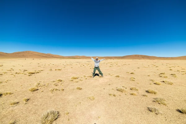 在玻利维亚南部安第斯高原上的自驾旅行 — 图库照片
