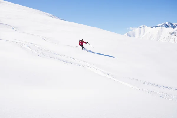 Freeriding 对新鲜粉雪 — 图库照片