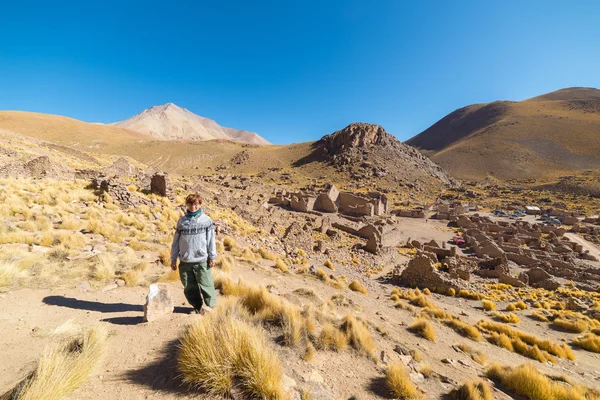 Viaje por las tierras altas andinas, sur de Bolivia — Foto de Stock