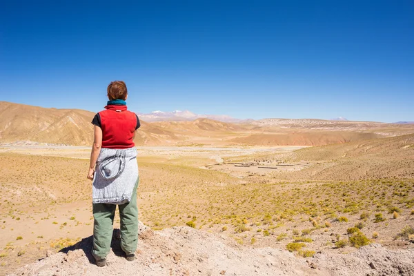 볼리비아 안데스 산맥에서 보기 보고 하는 관광 — 스톡 사진