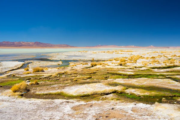Colorful hot spring on the Andes, Bolivia — Stock Photo, Image