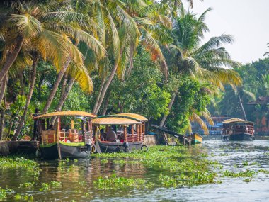 Geleneksel yüzen tekneler, Hindistan 'ın Kerala durgun sularında dolaşır, verimli palmiye ağaçları ve sakin tropikal su yollarıyla çevrili, yavaş seyahat, rahatlama, doğa ve günlük yaşam çağrıştırır..