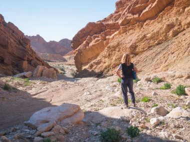Tunus 'taki Chebika Kanyonu' nda duran kişi, kayalık çöl kayalıkları ve seyrek bitki örtüsüyle çevrili, keşifleri, ölçeği ve kurak bir dağ manzarasının ham güzelliğini aktarıyor.