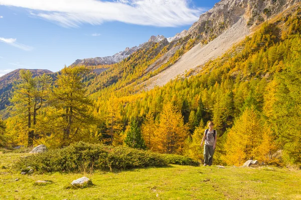 Wandelen in de Alpen, kleurrijke herfst seizoen — Stockfoto