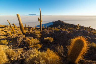 Uyuni tuz düz gündoğumu, Bolivya Andes üzerinde