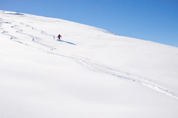 Freeriding 对新鲜粉雪 — 图库照片