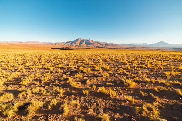 在沙漠的安第斯高地，玻利维亚南部日落 — 图库照片