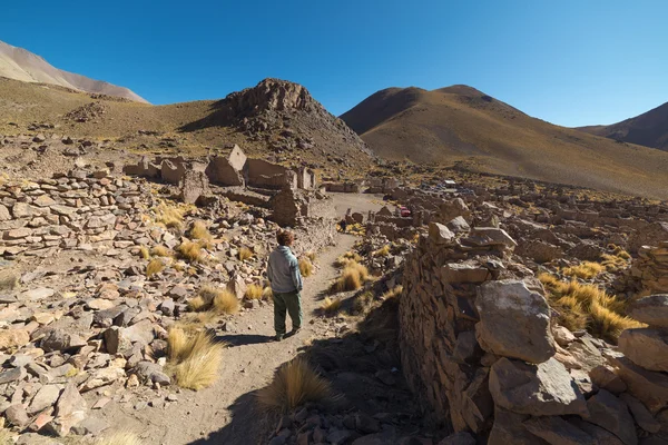 Viaje por las tierras altas andinas, sur de Bolivia — Foto de Stock