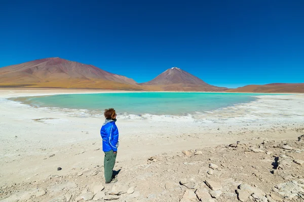 Yeşil lagün ve Bolivya Andes Licancabur volkana — Stok fotoğraf