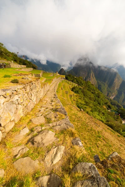 Caminho que conduz a Machu Picchu pela luz da manhã — Fotografia de Stock