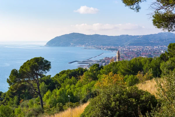 Olijven bomen en maritieme dennen op Italiaanse kustlijn, Ligurië — Stockfoto