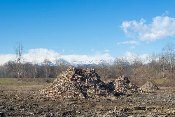 Biomass from lumber industry discards — Stock Photo, Image