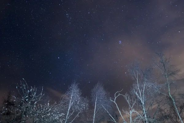 Cielo estrellado con Capella y las Pléyades de los Alpes — Foto de Stock