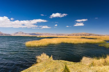 Uros Titicaca gölü, Peru üzerinde yüzen adalar Totora reed,